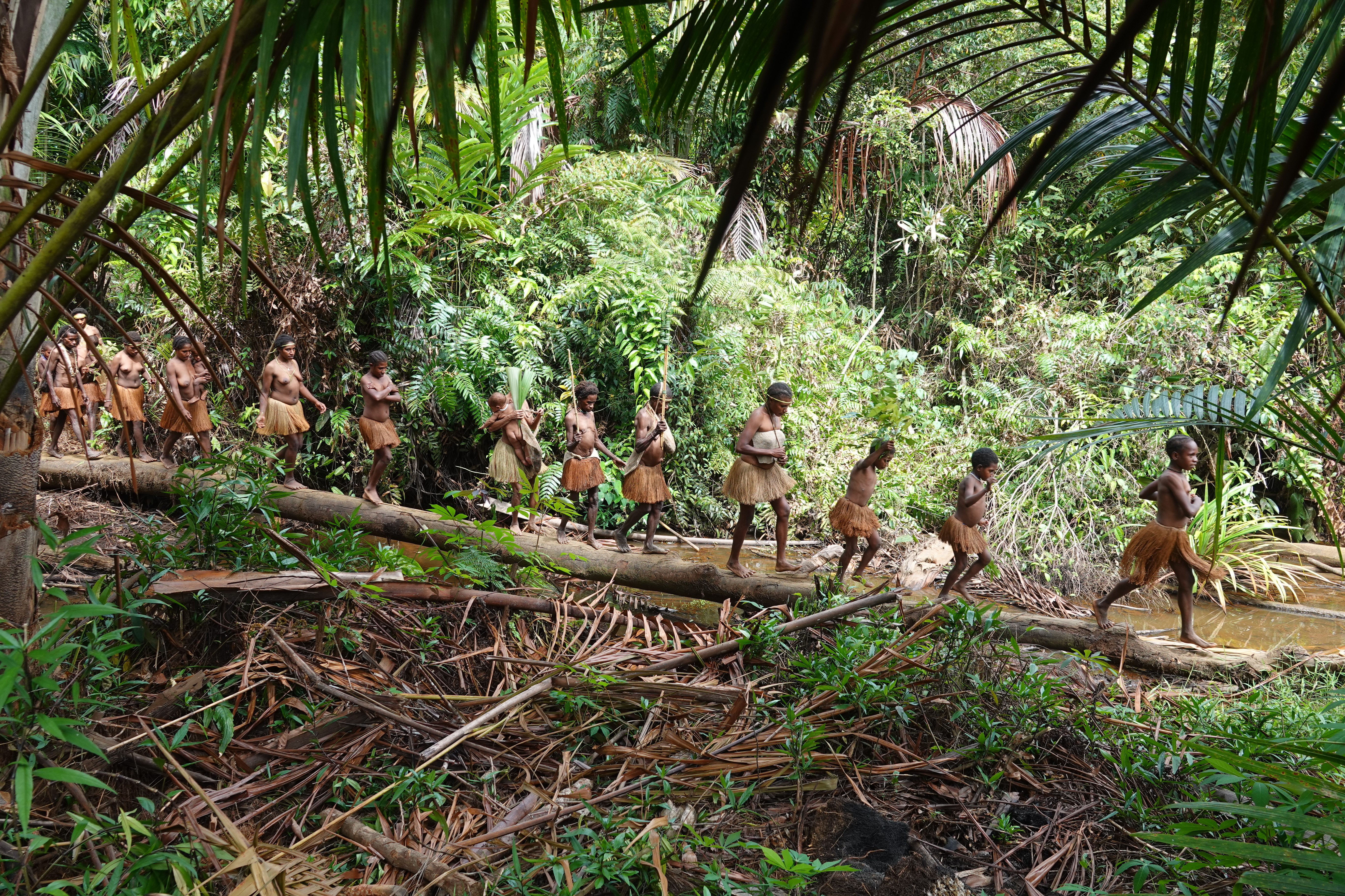 Papouasie - Immersion chez les Korowai