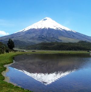 EQUATEUR - Randonnées de volcans en lagunas