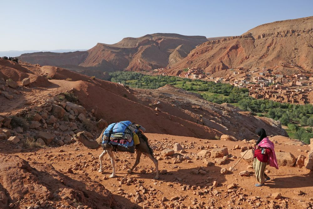 Une transhumance marocaine avec une famille de la tribu berbère Aït Atta