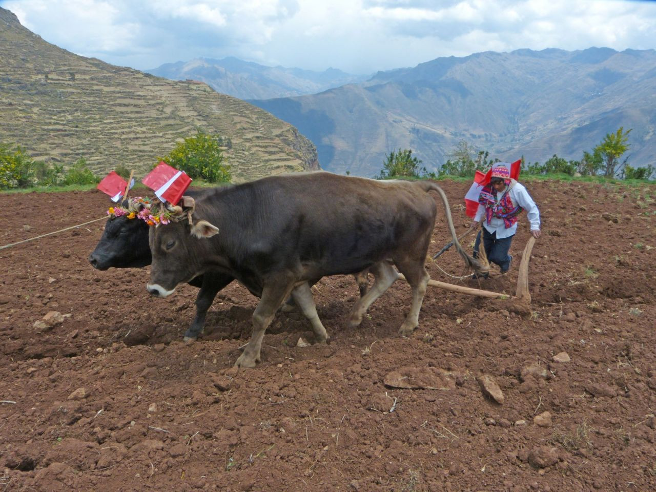 Pérou - Chez l'habitant dans la Vallée Sacrée et au lac Titicaca