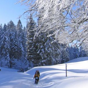 FRANCE - Découverte du Vercors en raquettes