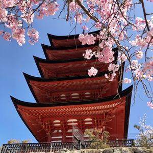 JAPON - Découverte au pays du soleil levant