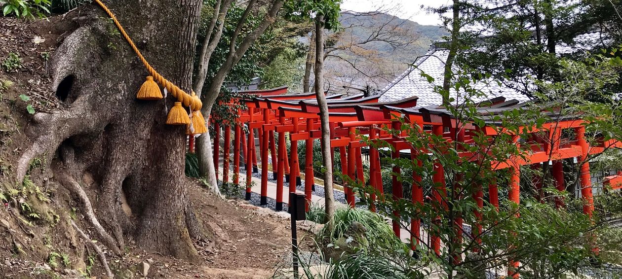 Randonnée Japon Hors Sentiers Battus : Balade au pays du Soleil-Levant -  Nomade Aventure