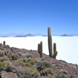 BOLIVIE - Peuples, salars et volcans